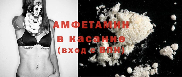 сатива Арсеньев