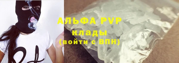 сатива Арсеньев