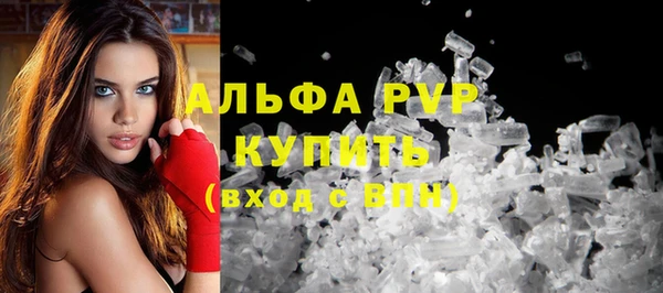 сатива Арсеньев