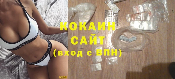 сатива Арсеньев