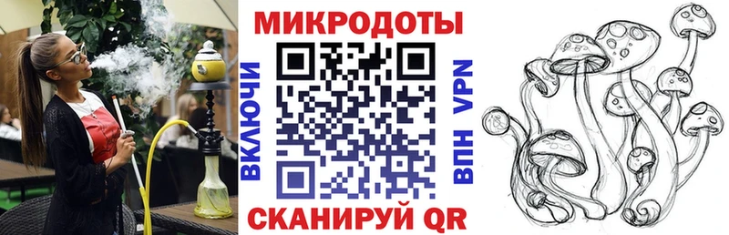 наркотики Бугульма Галлюциногенные грибы Psilocybe